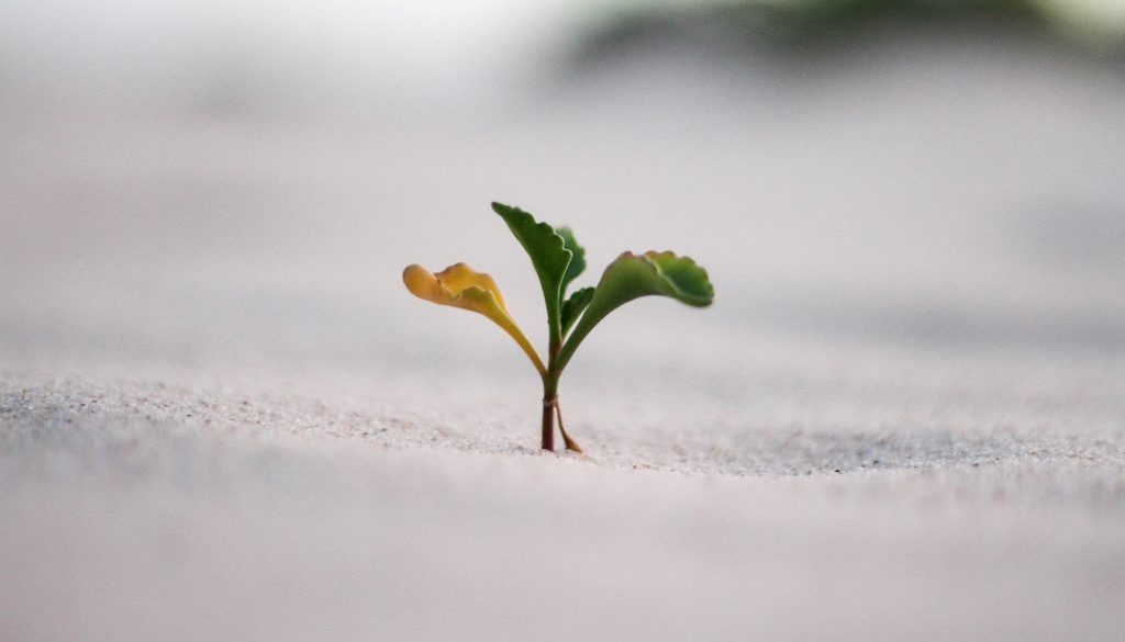 jeremy-bishop-vGjGvtSfys4-unsplash