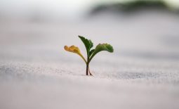 jeremy-bishop-vGjGvtSfys4-unsplash