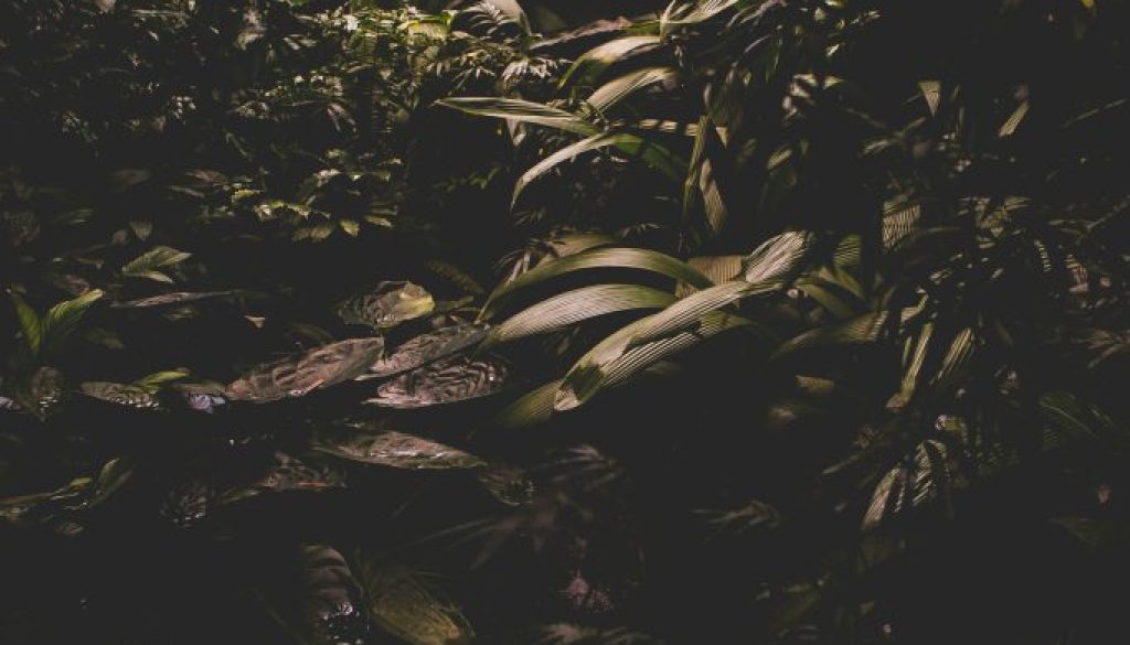 matt-boyle-tKD69ENVZQU-unsplash