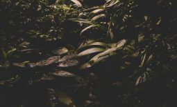 matt-boyle-tKD69ENVZQU-unsplash